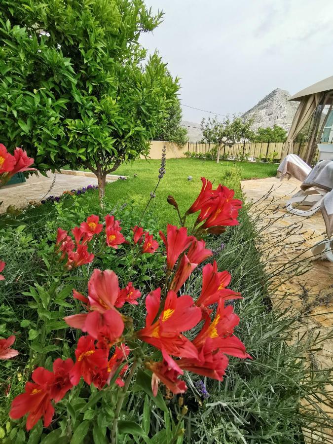Villa Mater - Luxuriously Equipped Villa With A 15M Long Swimming Pool Žrnovnica Esterno foto